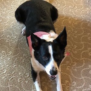 Meet your Posher, Lydia